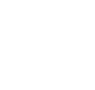 EMP ICON-2